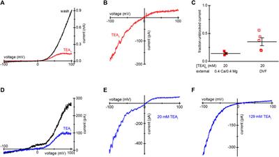 Use of tetraethylammonium (TEA) and Tris loading for blocking TRPM7 channels in intact cells