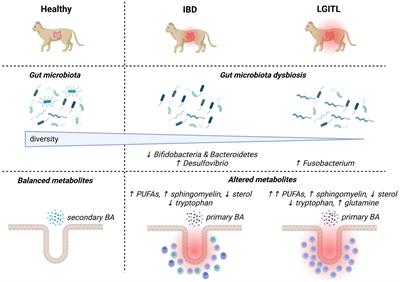 Gut microbiota in Cats with Inflammatory Bowel Disease and Low-Grade Intestinal T-cell Lymphoma