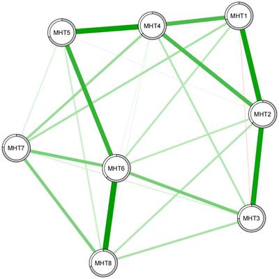 Unraveling the core symptoms of mental health in senior grade three students- a network analysis