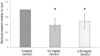 Chicken intestinal organoids: a novel method to measure the mode of action of feed additives