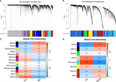 Exploration of the core pathway of inflammatory bowel disease complicated with metabolic fatty liver and two-sample Mendelian randomization study of the causal relationships behind the disease