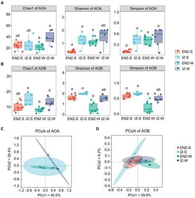 Ammonia-oxidizing archaea adapted better to the dark, alkaline oligotrophic karst cave than their bacterial counterparts