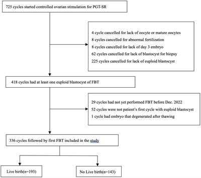 Which factors affect the live birth outcome of the first single euploid frozen-thawed blastocyst transfer in couples with balanced chromosomal translocations?