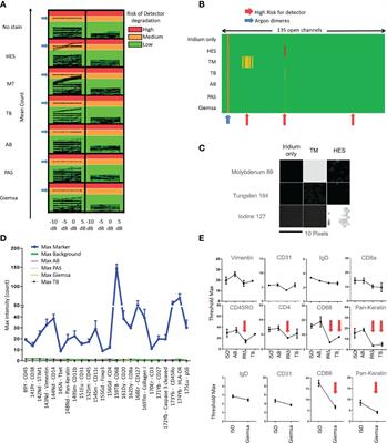 Coupling imaging mass cytometry with Alcian blue histochemical staining for a single-slide approach