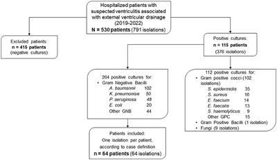 Ventriculitis due to multidrug-resistant gram-negative bacilli associated with external ventricular drain: evolution, treatment, and outcomes