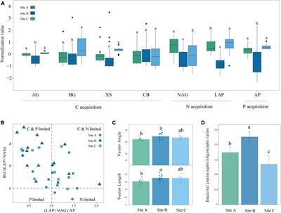 Rare microbial taxa as the major drivers of nutrient acquisition under moss biocrusts in karst area