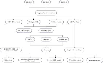 Machine learning and weighted gene co-expression network analysis identify a three-gene signature to diagnose rheumatoid arthritis