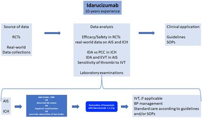 Idarucizumab in dabigatran-treated patients with acute stroke: a review and clinical update