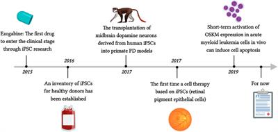 The occurrence and development of induced pluripotent stem cells