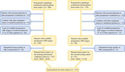 MRI-Based Intratumoral and Peritumoral Radiomics for Preoperative Prediction of Glioma Grade: a multicenter study