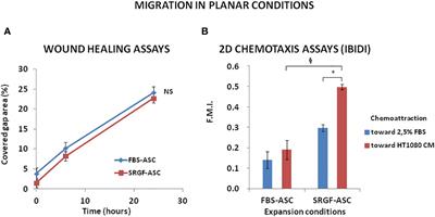 Ex vivo expansion in a clinical grade medium, containing growth factors from human platelets, enhances migration capacity of adipose stem cells