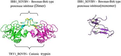 Frontiers Plant Protease Inhibitors In Therapeutics Focus On Cancer Therapy Pharmacology