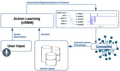 Frontiers | Learning Actions to Improve the Perceptual Anchoring of ...