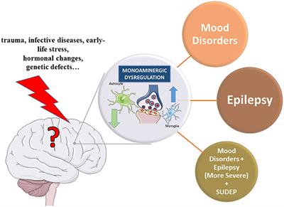 Frontiers Monoaminergic Mechanisms In Epilepsy May Offer
