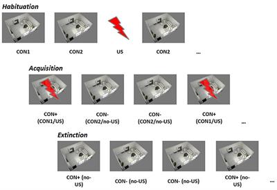 Frontiers | Implicit Learning in Transient Global Amnesia ... - 