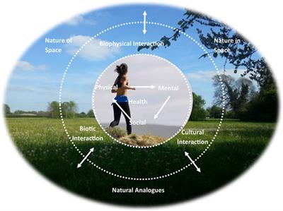 Frontiers | The Human–Nature Relationship and Its Impact on Health: A  Critical Review | Public Health