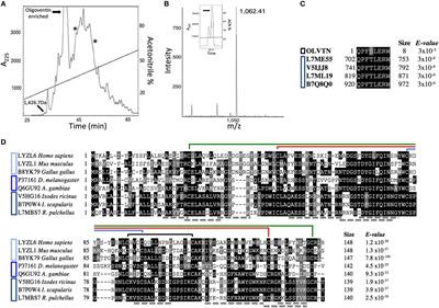 Frontiers Evidence Of An Antimicrobial Peptide Signature Encrypted In Hect Ubiquitin Ligases Immunology