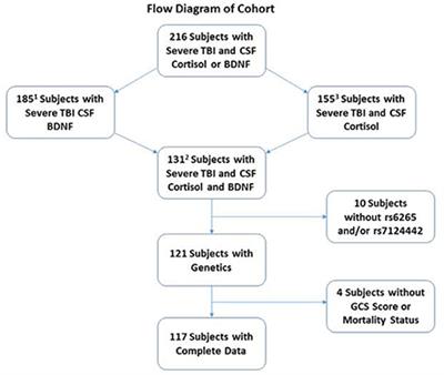 Csf Fluid Analysis Chart
