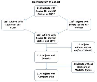 Csf Flow Chart