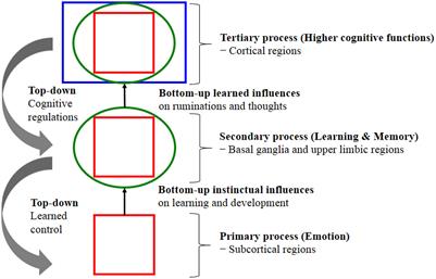Frontiers | The Influences of Emotion on Learning and Memory Frontiers | The Influences Of Emotion On Learning And Memory