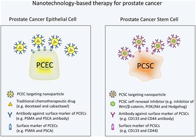 Prostate cancer proteomics: Current trends and future perspectives for biomarker discovery