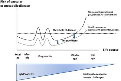Frontiers Pregnancy An Underutilized Window Of - 