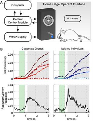 3D Printable Device for Automated Operant Conditioning in the Mouse