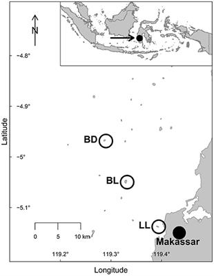 frontiers bacterial biofilm communities