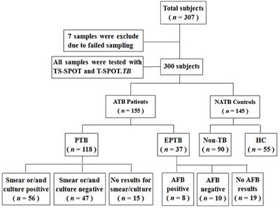 Frontiers Evaluation Of A New Ifn G Release Assay For Rapid Diagnosis Of Active Tuberculosis In A High Incidence Setting Cellular And Infection Microbiology