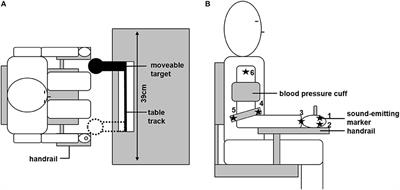 The Importance of Movement Variability