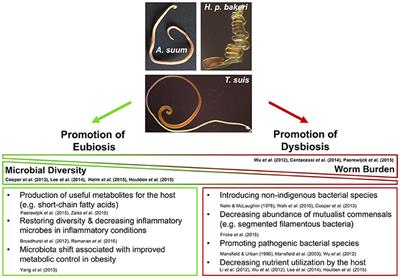 helminth nematode worms)