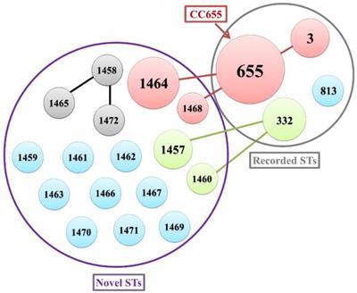Frontiers | A Comprehensive Epidemiological Research for Clinical ...