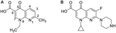 Frontiers Interplay Of The Quality Of Ciprofloxacin And