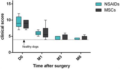 Durerea şi progresia osteoartritei la câini  managementul durerii
