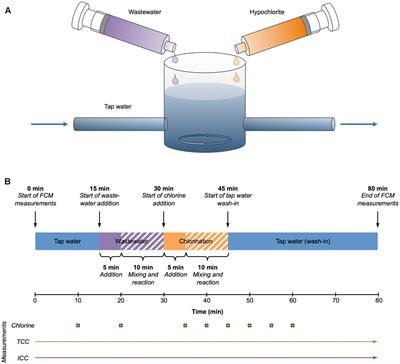 Bacteria Testing