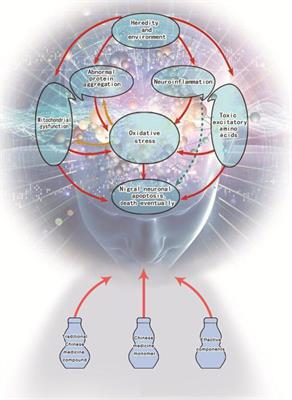 Frontiers The Mechanisms Of Traditional Chinese Medicine Frontiers The Mechanisms Of Traditional Chinese Medicine Underlying Prevention And Treatment Parkinson S Disease Pharmacology