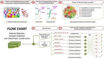 Periodontal Protocol Flow Chart