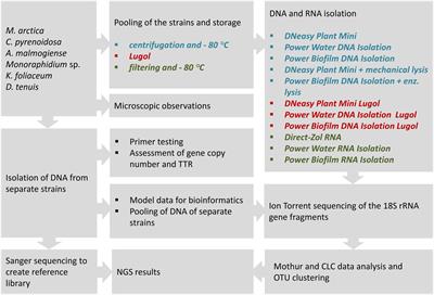 Frontiers Sample Preservation Dna Or Rna Extraction And Data Analysis For High Throughput Phytoplankton Community Sequencing Microbiology