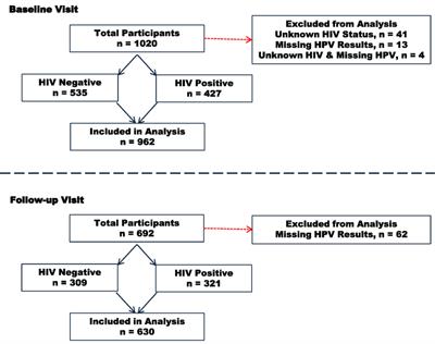 Hpv high risk c 02), Hpv high risk ratio. Hpv high risk ratio.