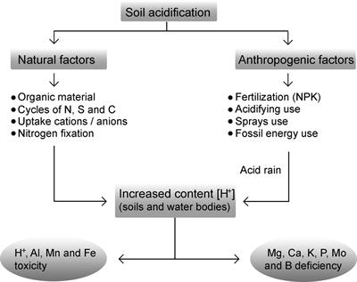 Frontiers Aluminum A Friend Or Foe Of Higher Plants In Acid Soils Plant Science