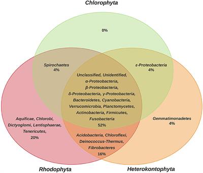 Frontiers A Functional Perspective Analysis Of Macroalgae And Epiphytic Bacterial Community Interaction Microbiology