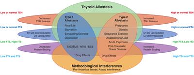 allostasis