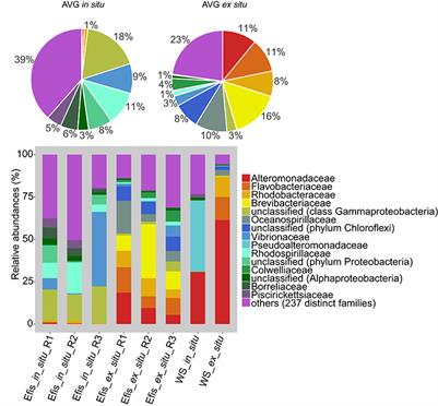 Frontiers  Rhodobacteraceae dominate the core microbiome of the