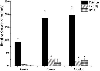 frontiers accumulation of arsenic speciation and in vivo toxicity