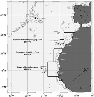 Frontiers Trends In Primary Production In The Canary Current