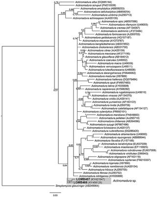 Bergey S Manual Online Flow Chart