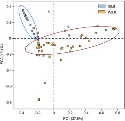 Papillómák a Trichomonas miatt, Mik a nőknél a Trichomonas tünetei, A trichomonas fertőzés kezelése