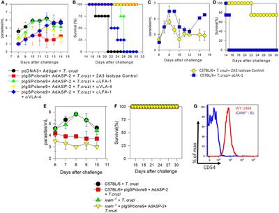 frontiers lfa 1 mediates cytotoxicity and tissue migration of