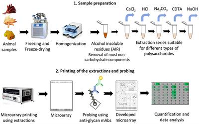 dissertation topics in biotechnology biotechnology thesis topics 28 images science dissertation topics in biotechnology biotechnology thesis topics 28 images science