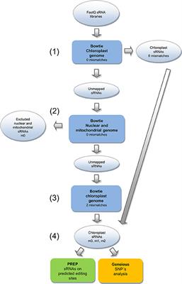 frontiers unveiling chloroplast rna editing events using venn diagram of mitochondria and chloroplasts